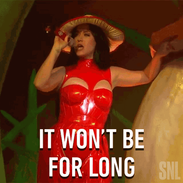 It Wont Be For Long Katy Perry GIF - It Wont Be For Long Katy Perry When Im Gone Song GIFs