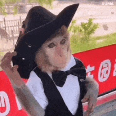 a monkey wearing a cowboy hat and bow tie is standing in front of a red sign .