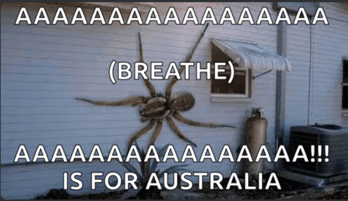 a large spider is on the side of a house with a caption that says breathe is for australia