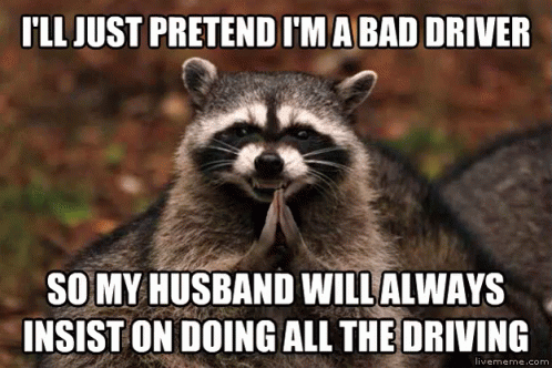 Raccoon - Husband GIF - Raccoon Pretend All According The Plan GIFs