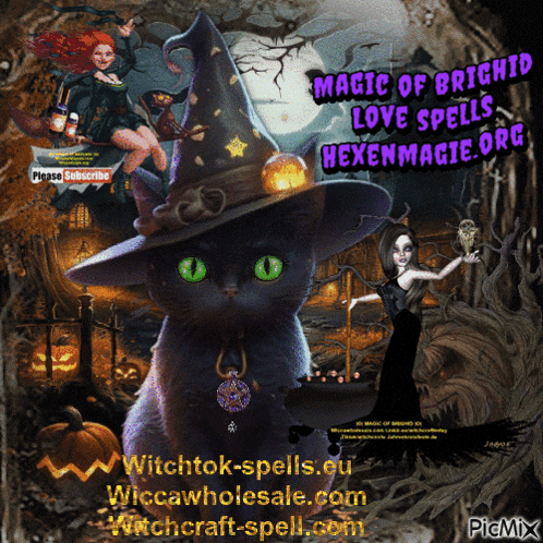 a black cat wearing a witch hat is surrounded by pumpkins and witches