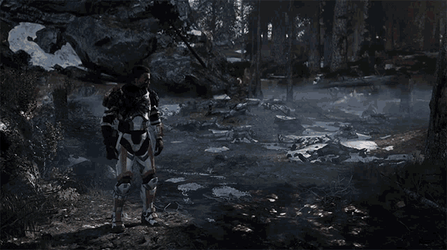 a video game character is standing in the woods with a sword
