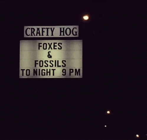 Foxes And Fossils Tonight GIF - Foxes And Fossils Tonight Crafty Hog GIFs