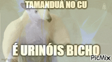 a picture of a dog with the words tamandua no cu e urinois bicho on it