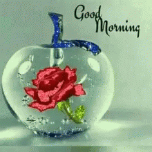 Good Morning Flowers GIF - Good Morning Flowers Colorful GIFs