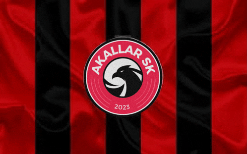 a black and red striped shirt with a logo that says " akallar sk "