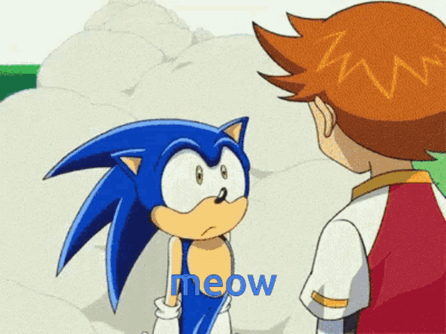 a cartoon of sonic the hedgehog standing next to a boy with the word meow in blue letters
