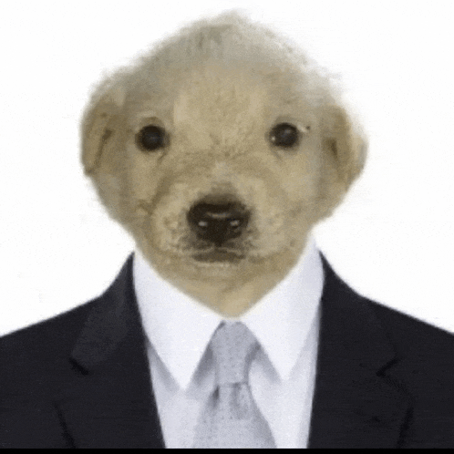 a dog wearing a suit and tie with a teddy bear head .