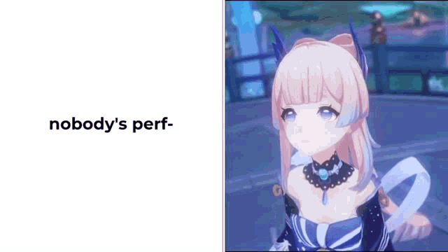 a screenshot of a video game character with the words `` nobody 's perf '' written on it .
