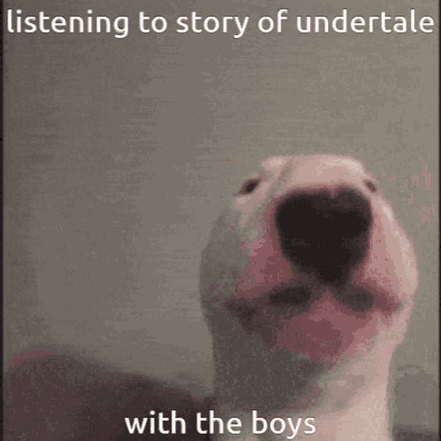 a dog is listening to story of undertale with the boys .