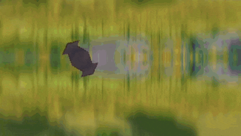 a blurry image of a person standing in a field