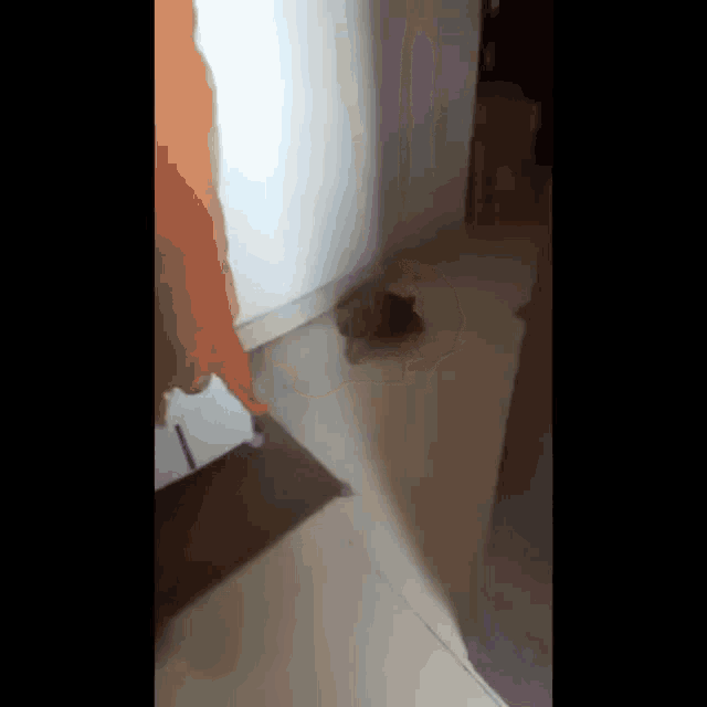 Kachua Turtle GIF - Kachua Turtle Suryank GIFs