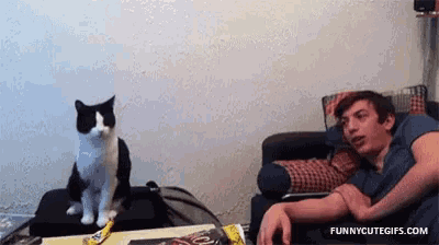 a black and white cat is sitting on a table next to a man in a couch .