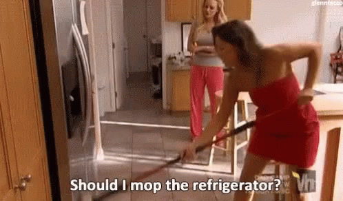 Cleaning Should I Mop The Refrigerator GIF - Cleaning Should I Mop The Refrigerator Mop GIFs
