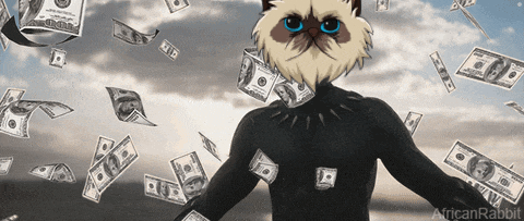 a cat is surrounded by hundred dollar bills and the word african rabbit is on the bottom