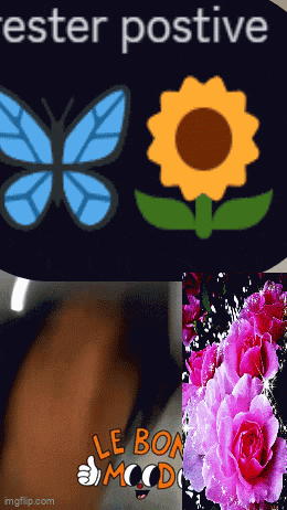 a picture of a butterfly a sunflower and roses with the words ester positive