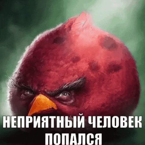 a picture of an angry bird with a caption in a foreign language
