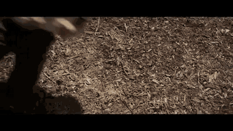 Captain Marvel Brie Larson GIF