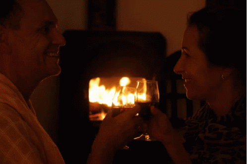 Fireplace Wine GIF - Fireplace Wine Dinner GIFs