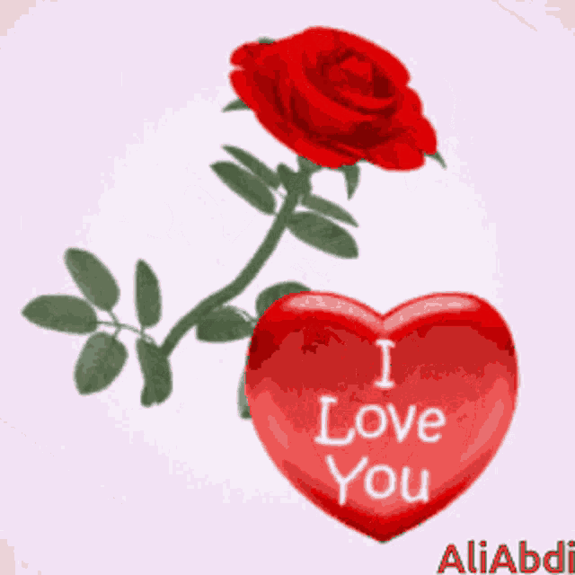 a red heart with the words " i love you " next to a red rose