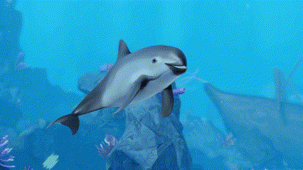 a dolphin is swimming in a blue ocean