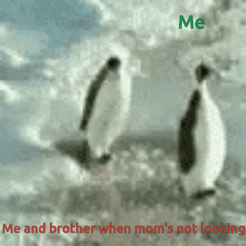 Me And My Brother When My Moms Not Looking GIF - Me And My Brother When My Moms Not Looking Penguins GIFs