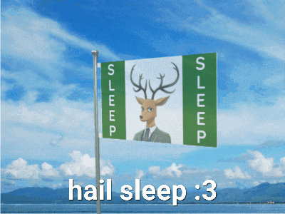 Hail Sleep Flag GIF - Hail Sleep Flag Sleep GIFs