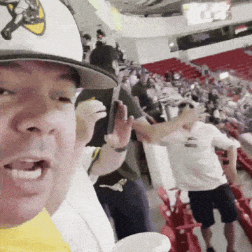 a man wearing a vikings hat stands in the stands
