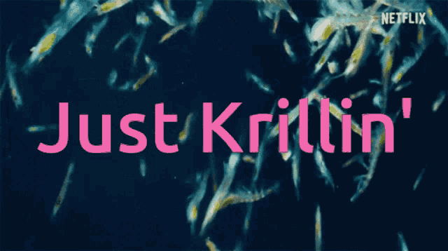 a netflix ad shows a bunch of fish and the words just krilllin '