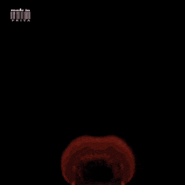 a picture of a dragon surrounded by flames with the words made in prita below it