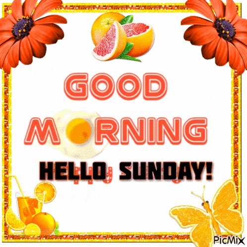 a picture that says good morning hello sunday with flowers and oranges