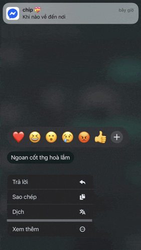 a phone screen shows a message from chip with smiley faces