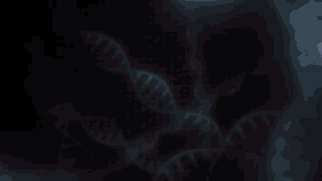 a computer generated image of a blue and red heart