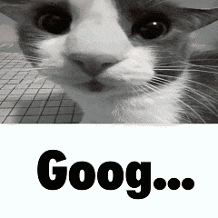 a close up of a cat 's face with the word goog written below it