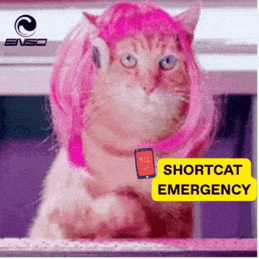 a cat wearing a pink wig and a cell phone that says 911
