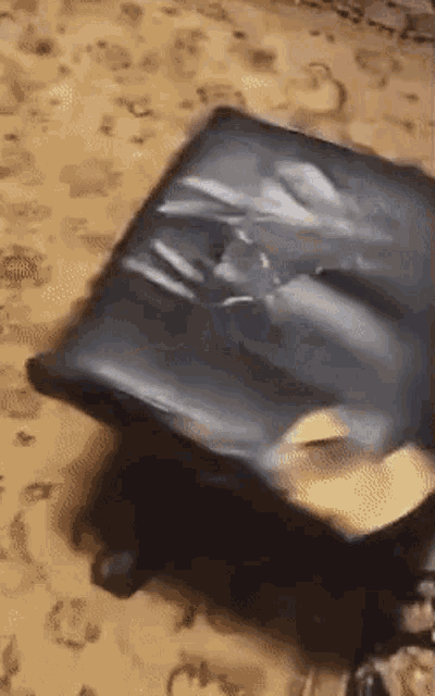 a black bag is laying on a carpet on the floor .