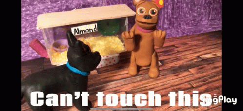 Dancing Dog GIF - Dancing Dog Cant Touch This GIFs
