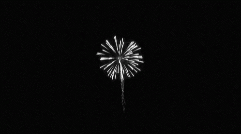 Fire Works GIF - Fire Works GIFs