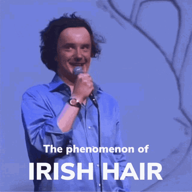 Irish Irish Hair GIF - Irish Irish Hair Dylan Moran GIFs