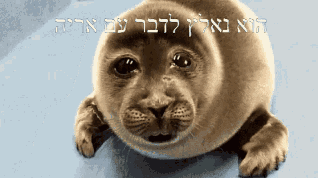 a seal with hebrew writing on it