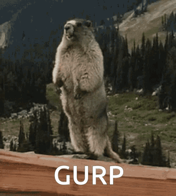 Gurp GIF - Gurp GIFs