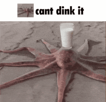 He Cant Dink It Octopus Traversal GIF - He Cant Dink It Octopus Traversal Octopus GIFs