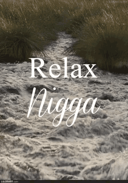 a picture of a river with the words relax nigga written on it
