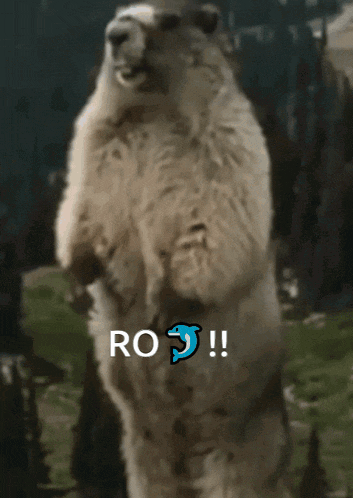 a polar bear standing on its hind legs with the word ro on the bottom right