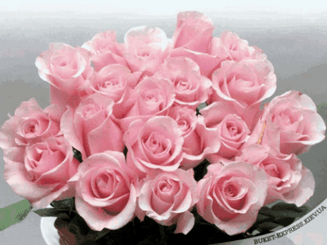a bunch of pink roses with buket express written on the bottom right