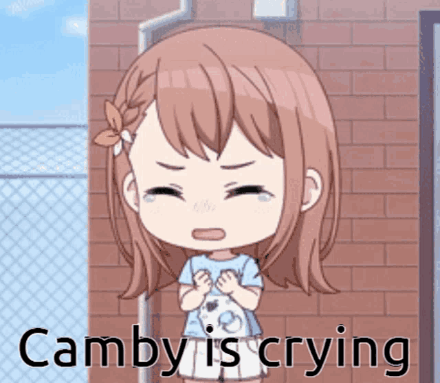 a little girl is crying in front of a brick wall with the words camby is crying below her