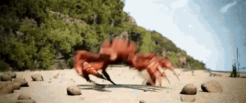 Crab Rave Crabs Dance GIF - Crab Rave Crabs Dance Crabs Boogie GIFs