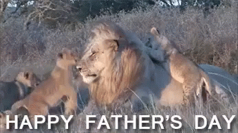 Happy Father'S Day GIF - Lions Dad Fathers Day GIFs