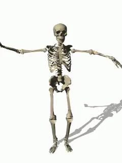 Tengkorak Balet GIF - Skeleton Skull Dance GIFs