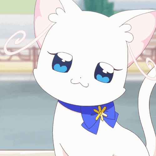 a white cat with a blue bow around its neck looks at the camera